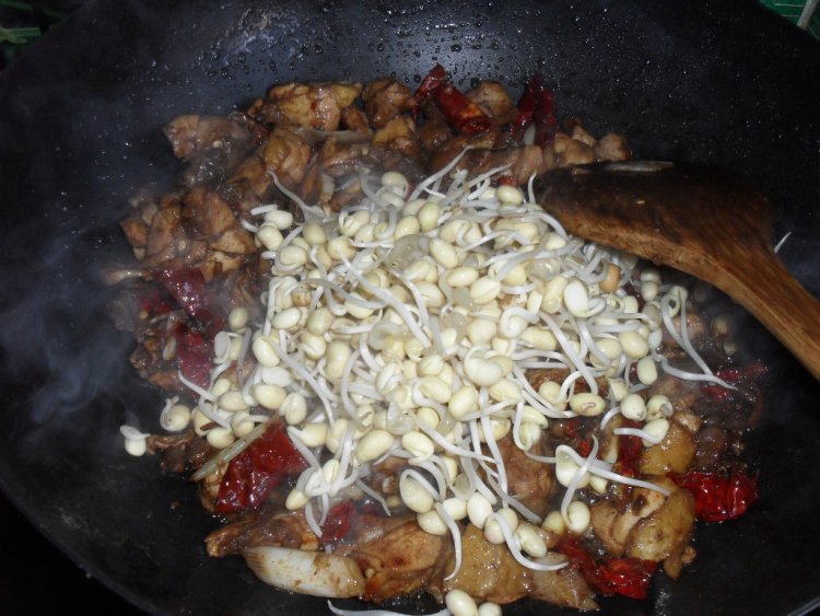 豆芽豆豉烧鸡肉步骤6