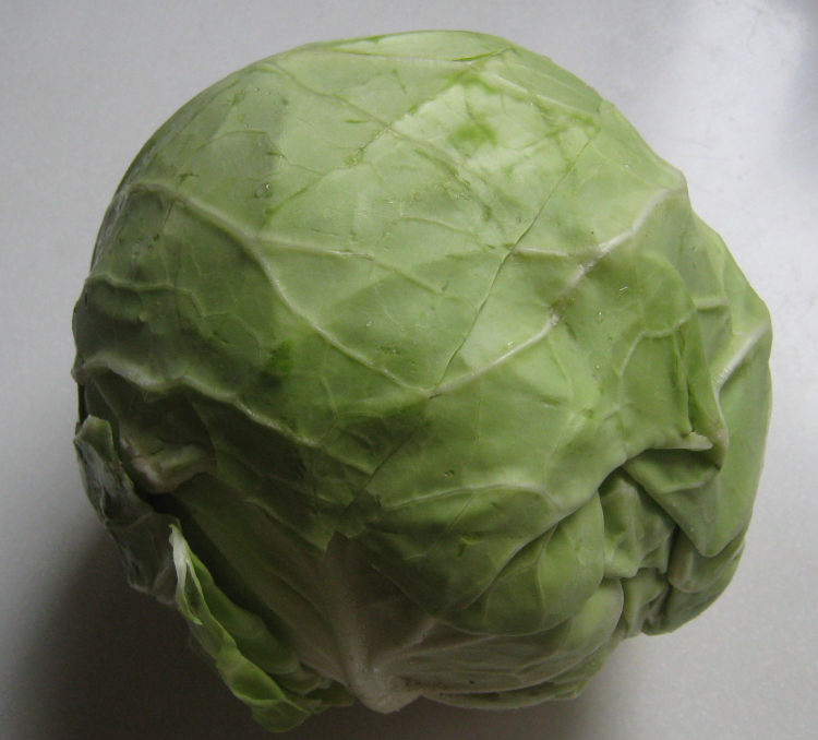 素馅饺子步骤2