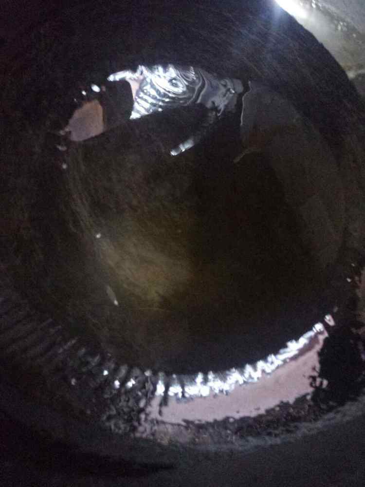 香甜玉米烙步骤6