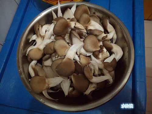 炸鲜蘑步骤1