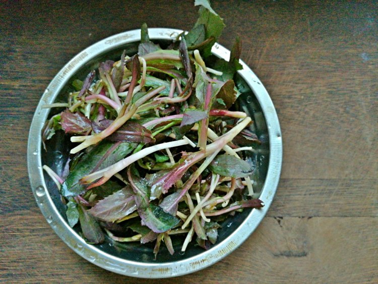 野菜海鲜蛋羹步骤1