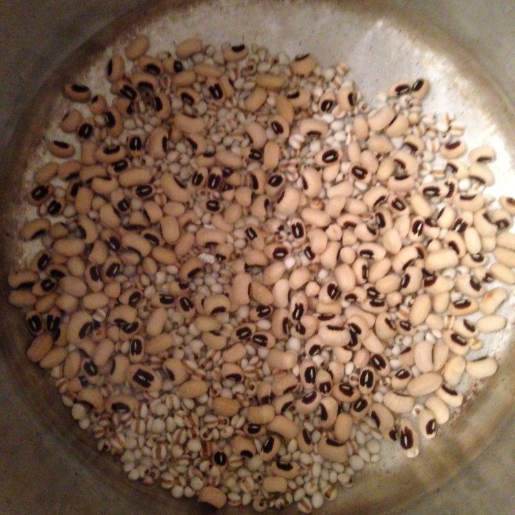 眉豆薏米水鸭汤步骤1