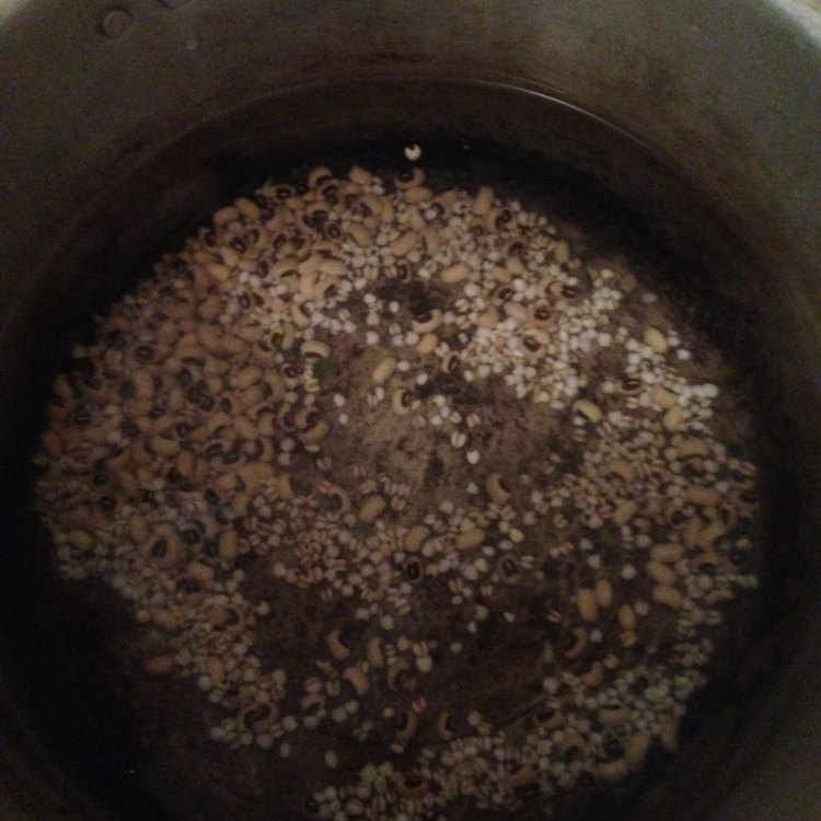 眉豆薏米水鸭汤步骤2
