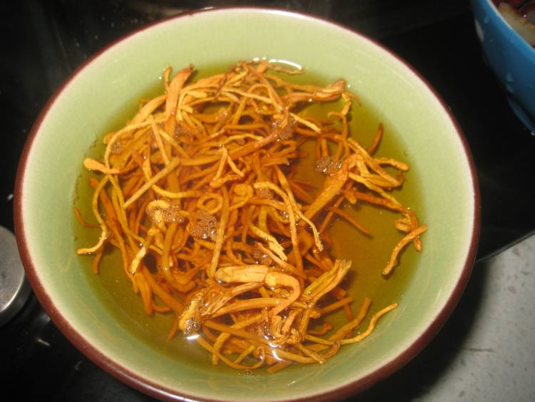 虫草花炖鸭汤步骤5