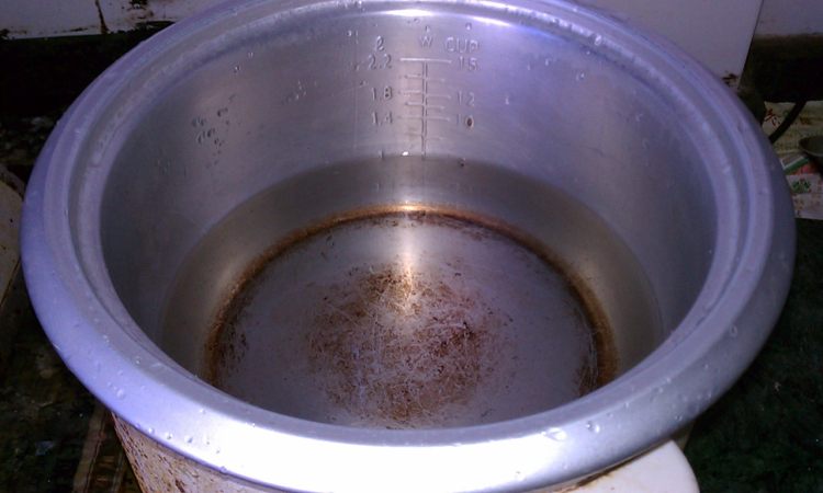 野生红菇炖老鸭步骤4