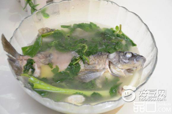 薄荷鲫鱼汤