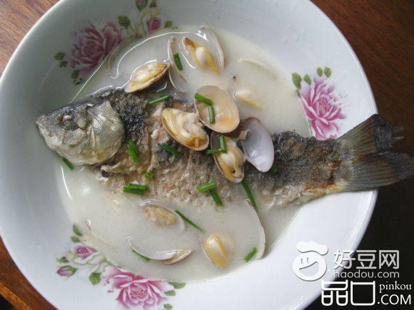 蛤蜊鲫鱼