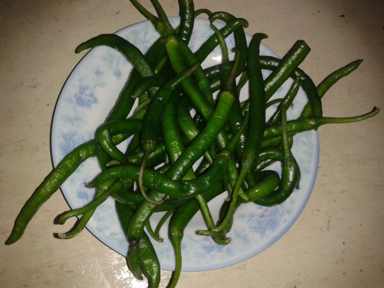 皮蛋炒辣椒步骤1