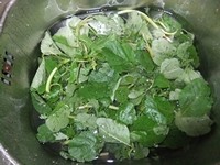 上汤芫菜步骤1
