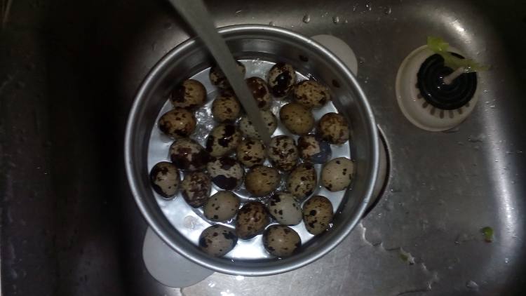 香卤鹌鹑蛋步骤1