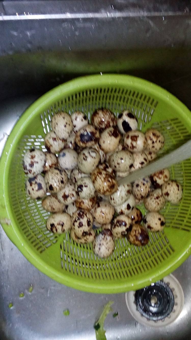 香卤鹌鹑蛋步骤3