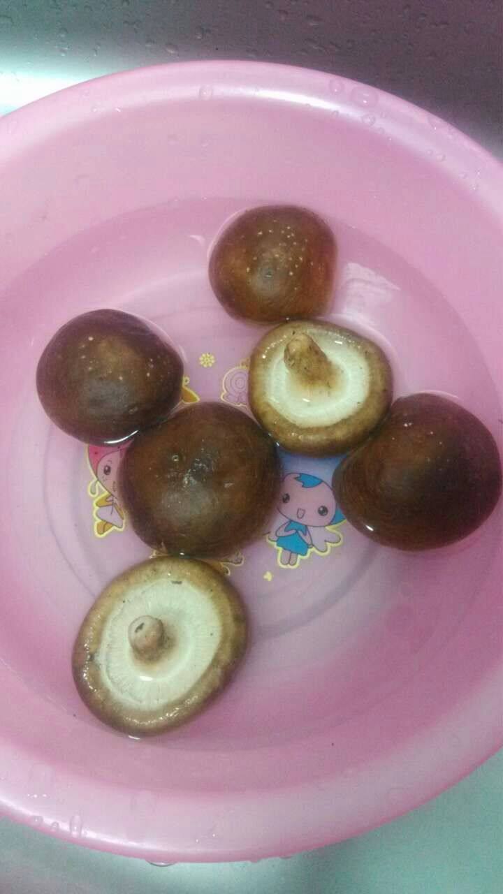 蘑菇蒸鹌鹑蛋步骤2