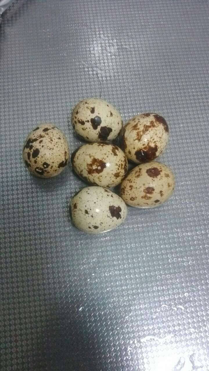 蘑菇蒸鹌鹑蛋步骤1