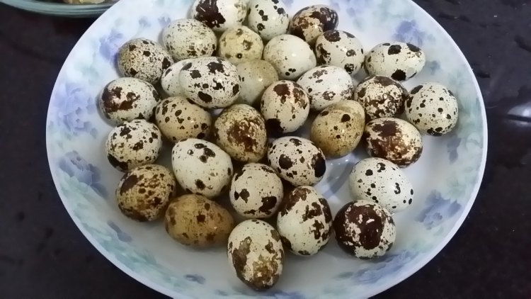 煮鹌鹑蛋步骤1