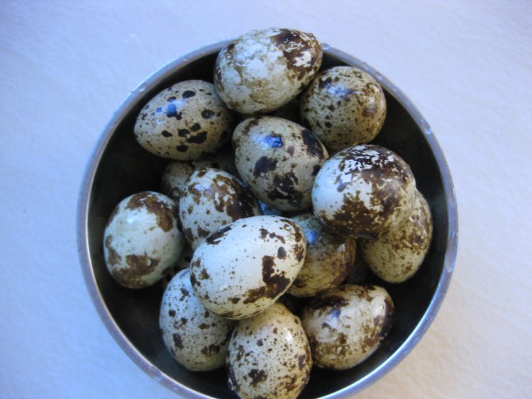砂锅冰糖绿豆沙步骤4