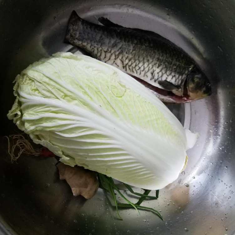 鲫鱼白菜汤步骤1