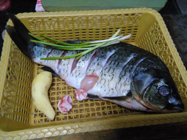 家常红烧鱼步骤1