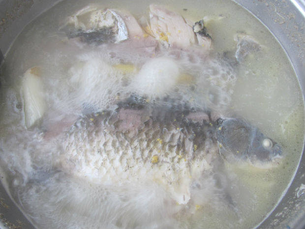 特色奶汤鲫鱼步骤6