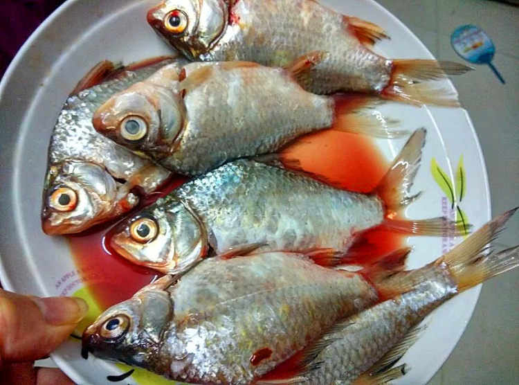 香煎鲫鱼步骤1