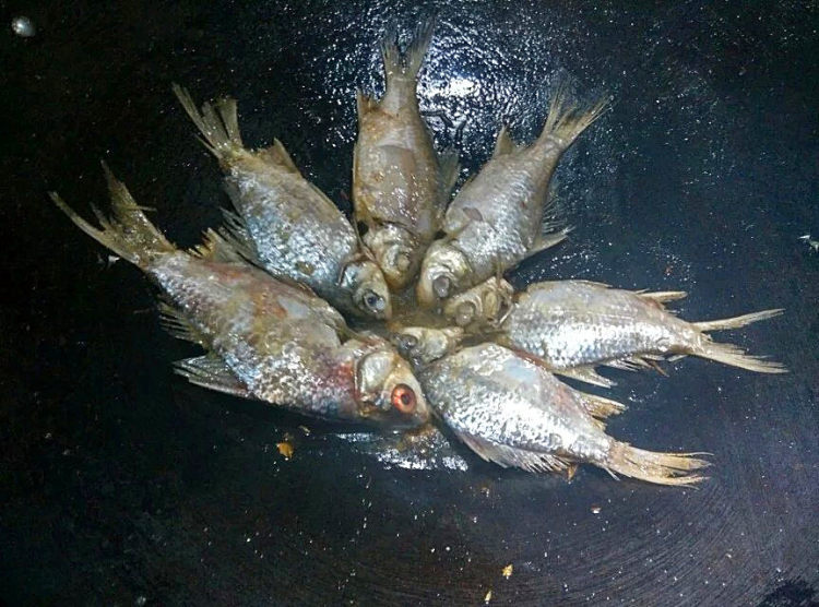 香煎鲫鱼步骤2