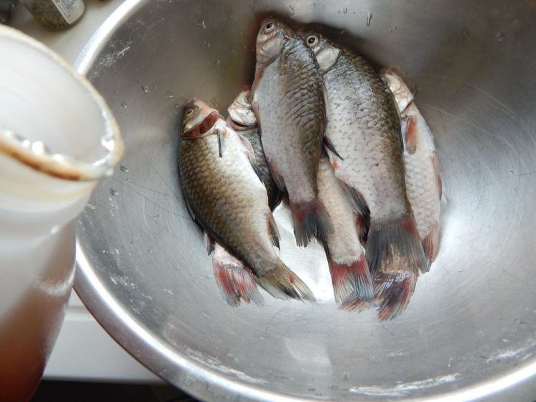 香烤鲫鱼步骤2