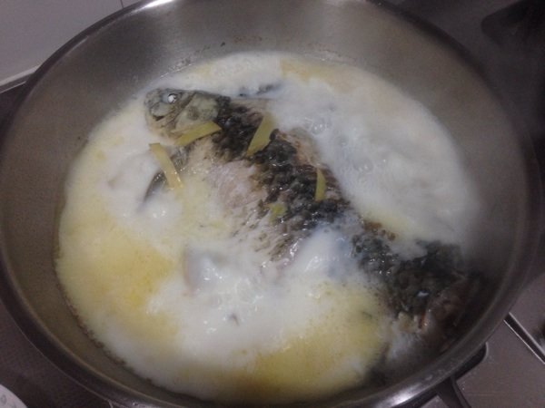 牛奶鲫鱼汤步骤7
