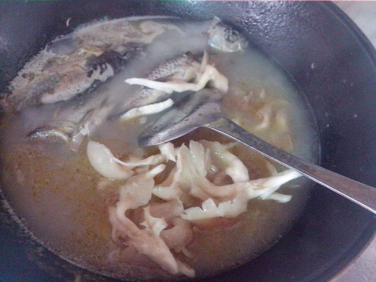 蘑菇鲫鱼汤步骤9
