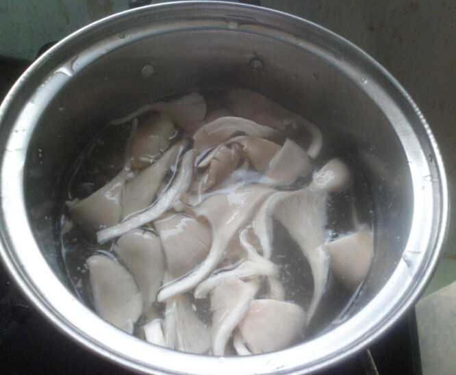 鲫鱼蘑菇豆腐汤步骤2