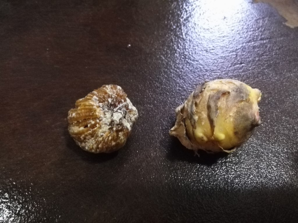 棉茵陈鲫鱼汤步骤2