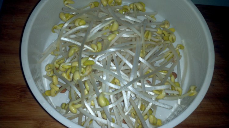 黄豆芽鲫鱼汤步骤2