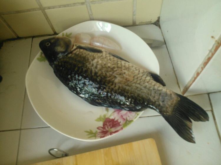 豆芽炖鲫鱼步骤3