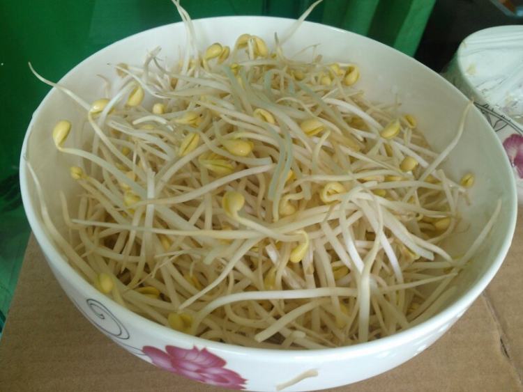 豆芽炖鲫鱼步骤1