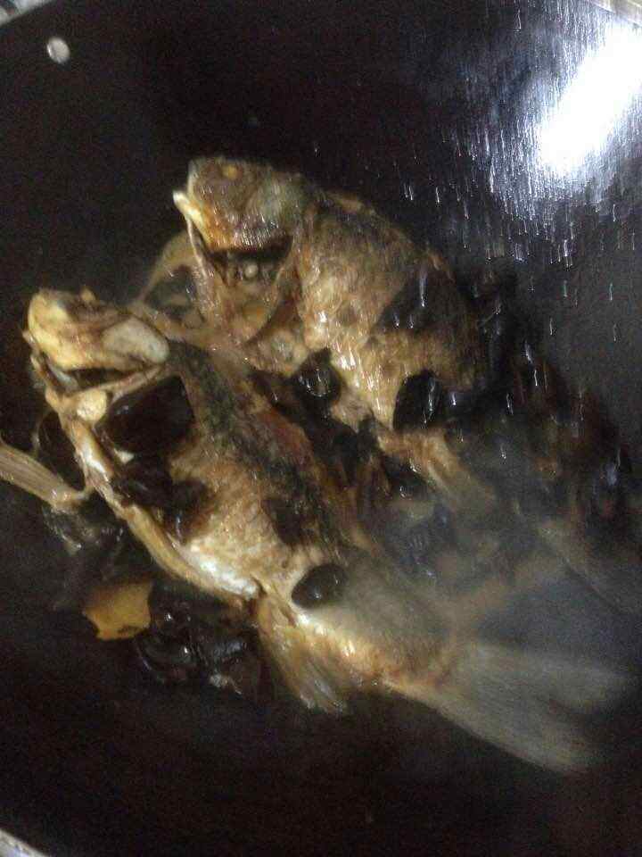 鲫鱼烧木耳步骤8
