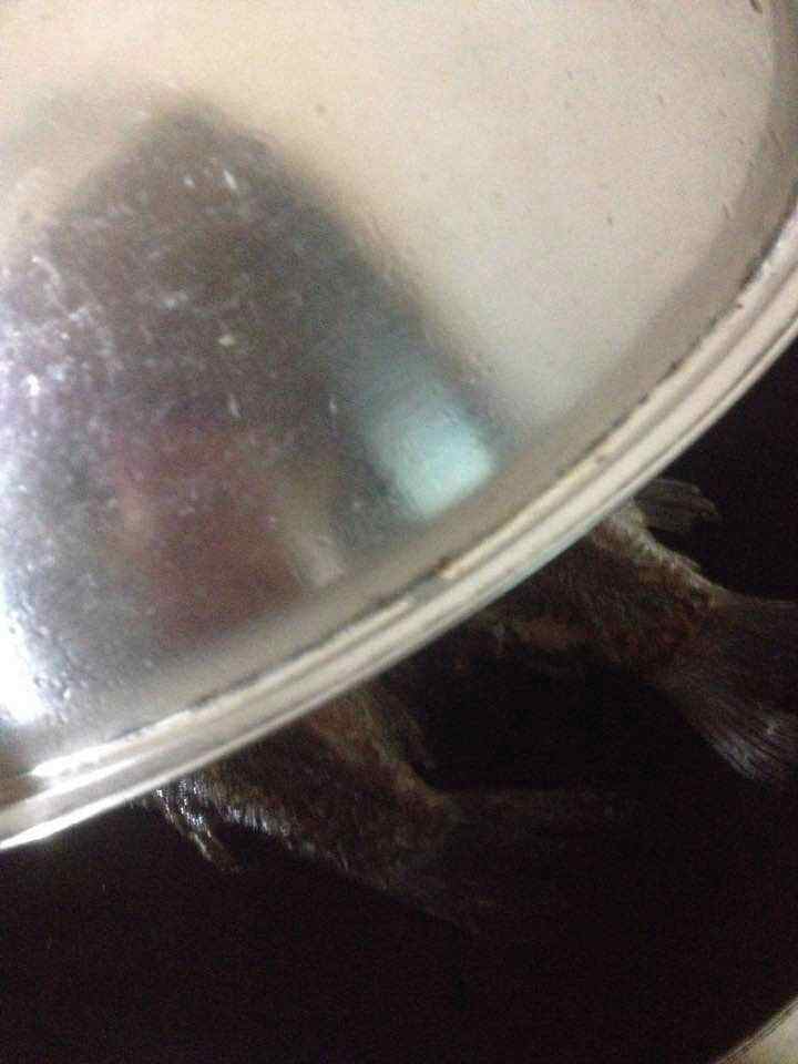 鲫鱼烧木耳步骤5