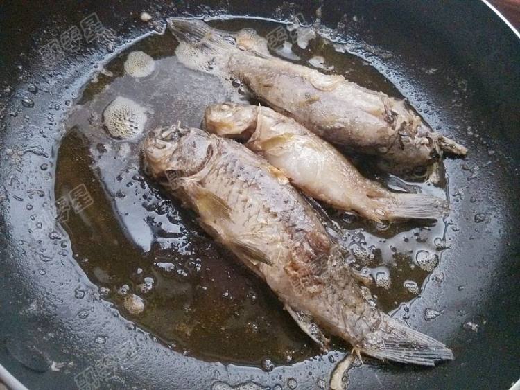 黄豆焖野生小鲫鱼步骤5