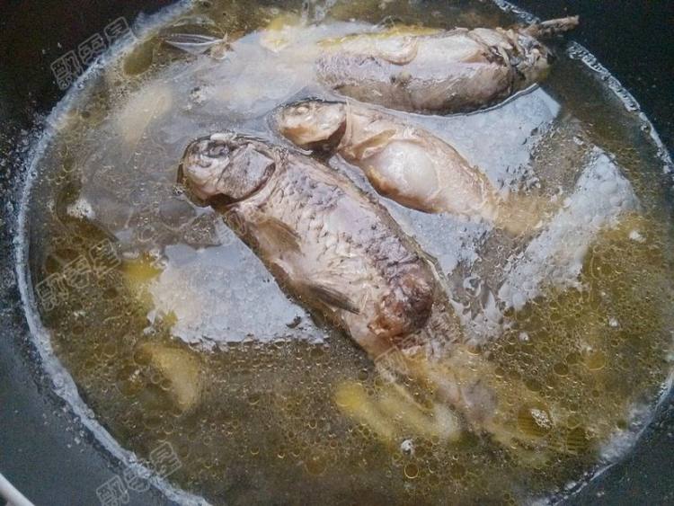 黄豆焖野生小鲫鱼步骤7
