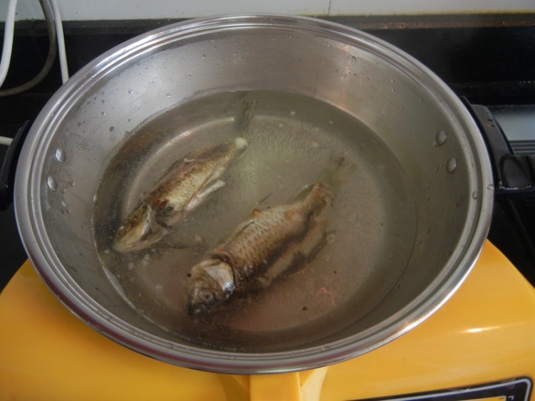 肉丸子鲫鱼汤步骤8