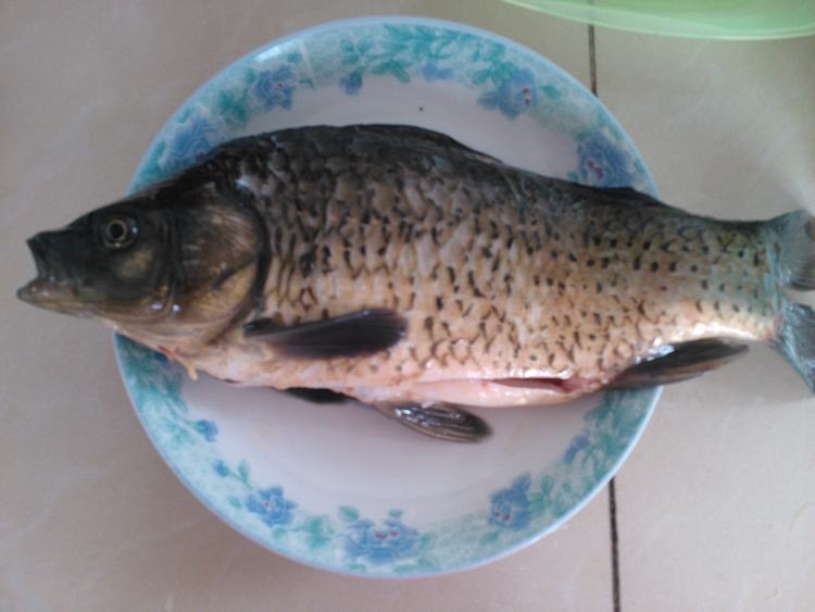 黄瓜焖鲫鱼步骤2