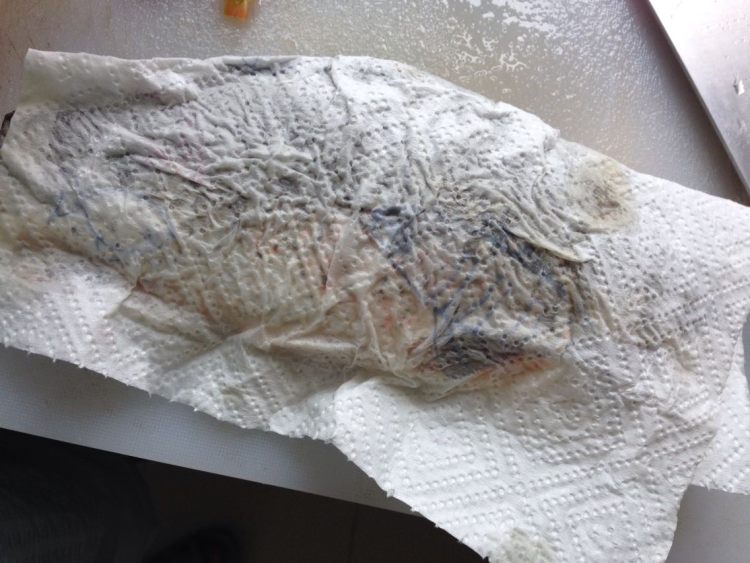 西红柿豆腐鲫鱼汤步骤3