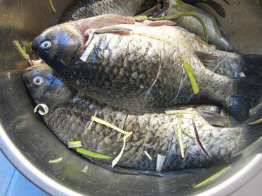 鱼炖豆腐步骤2