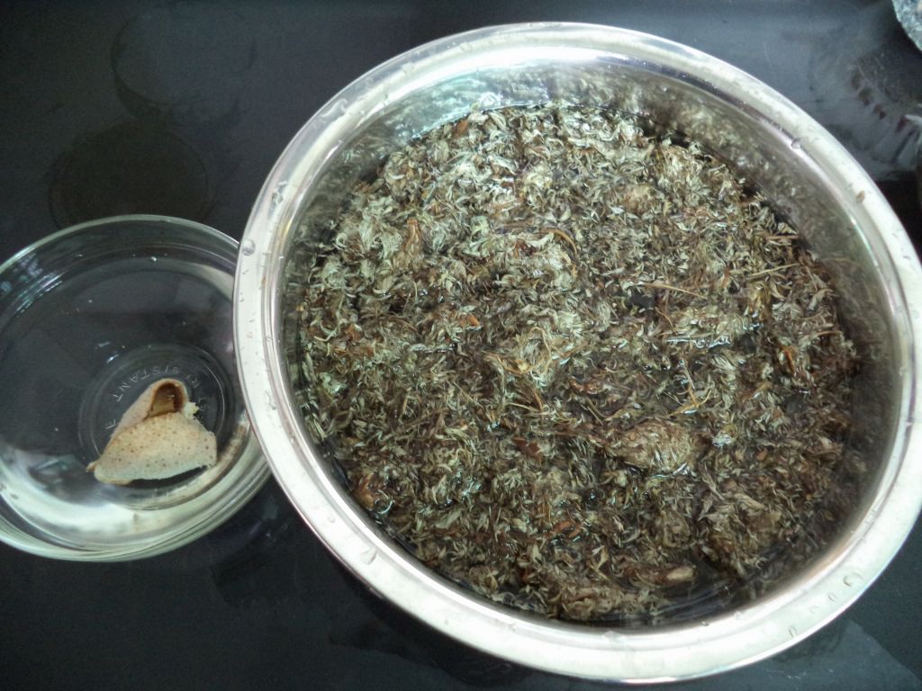 绵茵陈煲鲫鱼步骤2