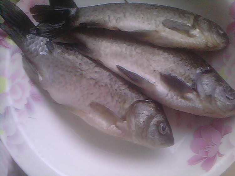 美味鲫鱼步骤1