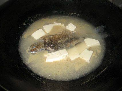 鲫鱼芫荽豆腐汤步骤6