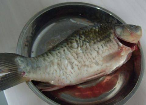 鲫鱼青菜炖豆腐步骤2