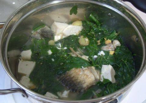鲫鱼青菜炖豆腐步骤6
