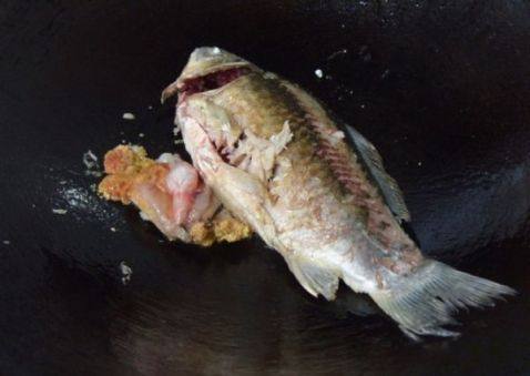 鲫鱼青菜炖豆腐步骤4
