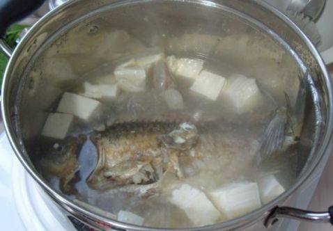 鲫鱼青菜炖豆腐步骤5