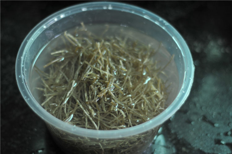 软熘草鱼段步骤1