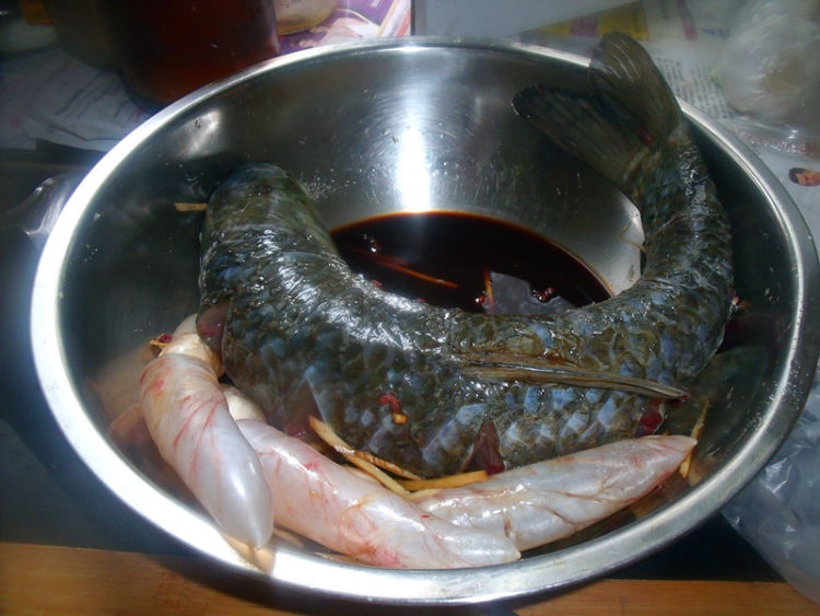 麻辣草鱼步骤1