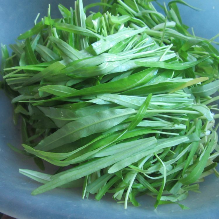 蔬菜煮鱼步骤11